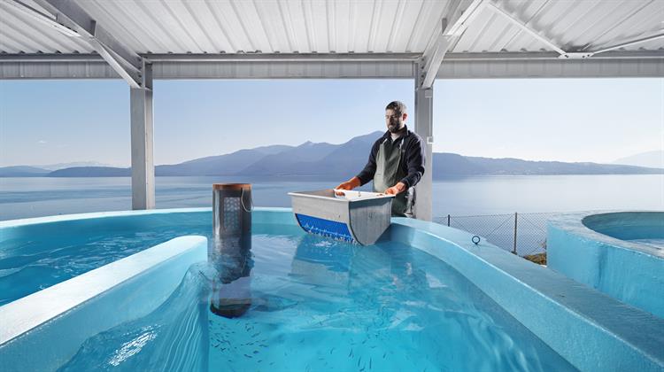 Philosofish: Εκπαιδευτικό Πρόγραμμα Μαθητών για τη Βιώσιμη Ιχθυοκαλλιέργεια